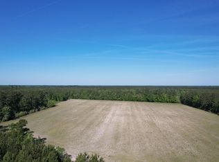 7415 Black Creek Rd, Nichols, SC 29581