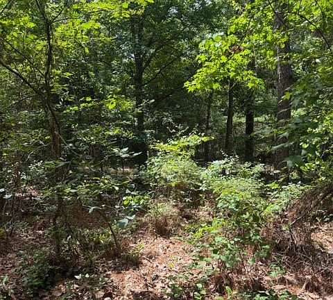 4th image of 59/60 Plantation Blvd