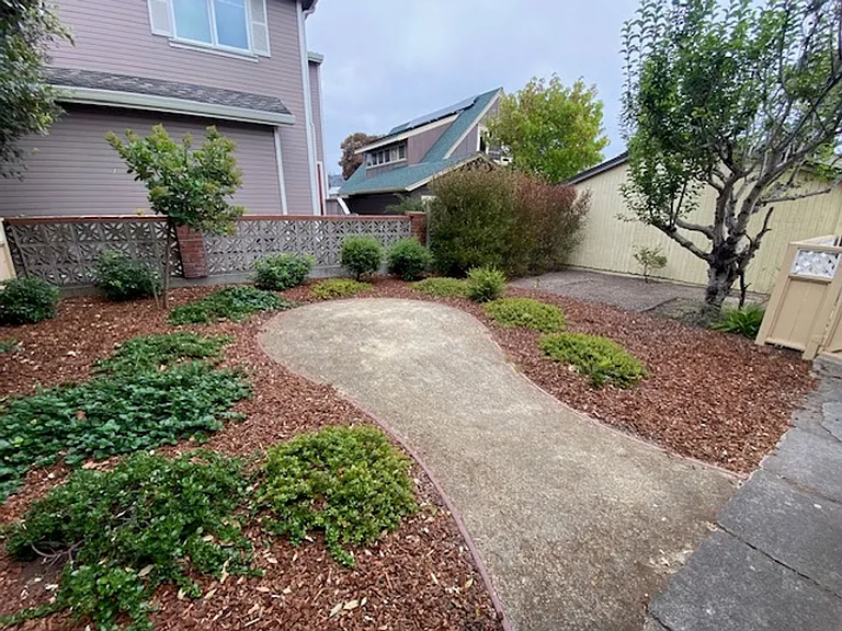 542 Pine Ave — Photo 29