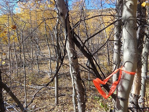 2nd image of Nhn Clear Creek Trl
