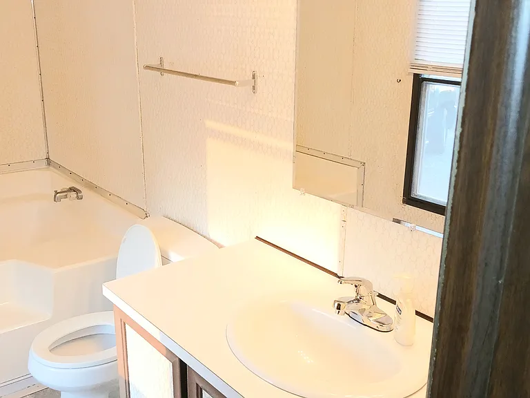 Master Bath, New sink and faucet