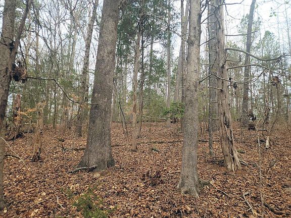 5th image of Boyds Mill Pond Rd