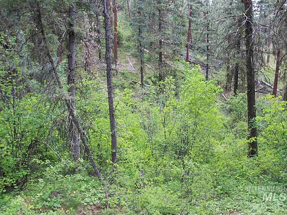 2nd image of Tbd Timberline