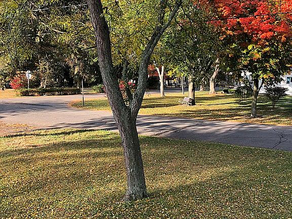 Looking toward park. 