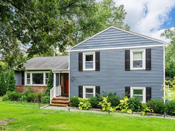299 Springfield Ave