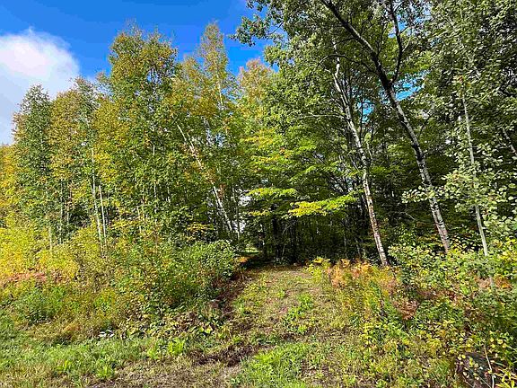 2nd image of 3.97 Acres Lavaque Bypass