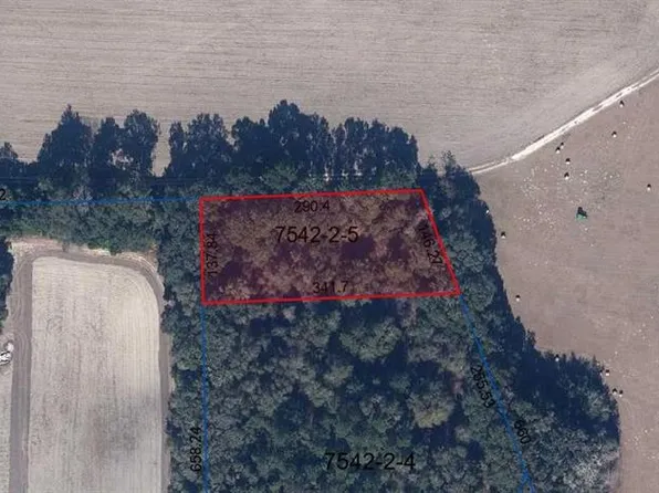 W State Road 235, Brooker, FL 32622