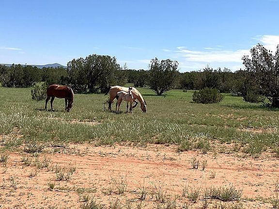 5th image of LOT 33 Windmill Ranch Ests