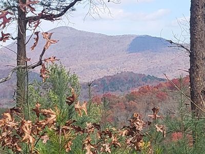 2401 Big Cove Dr, Hiawassee, GA, 30546