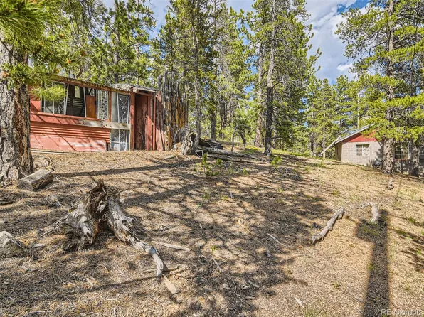 105 Royal Lane, Bailey, CO 80421