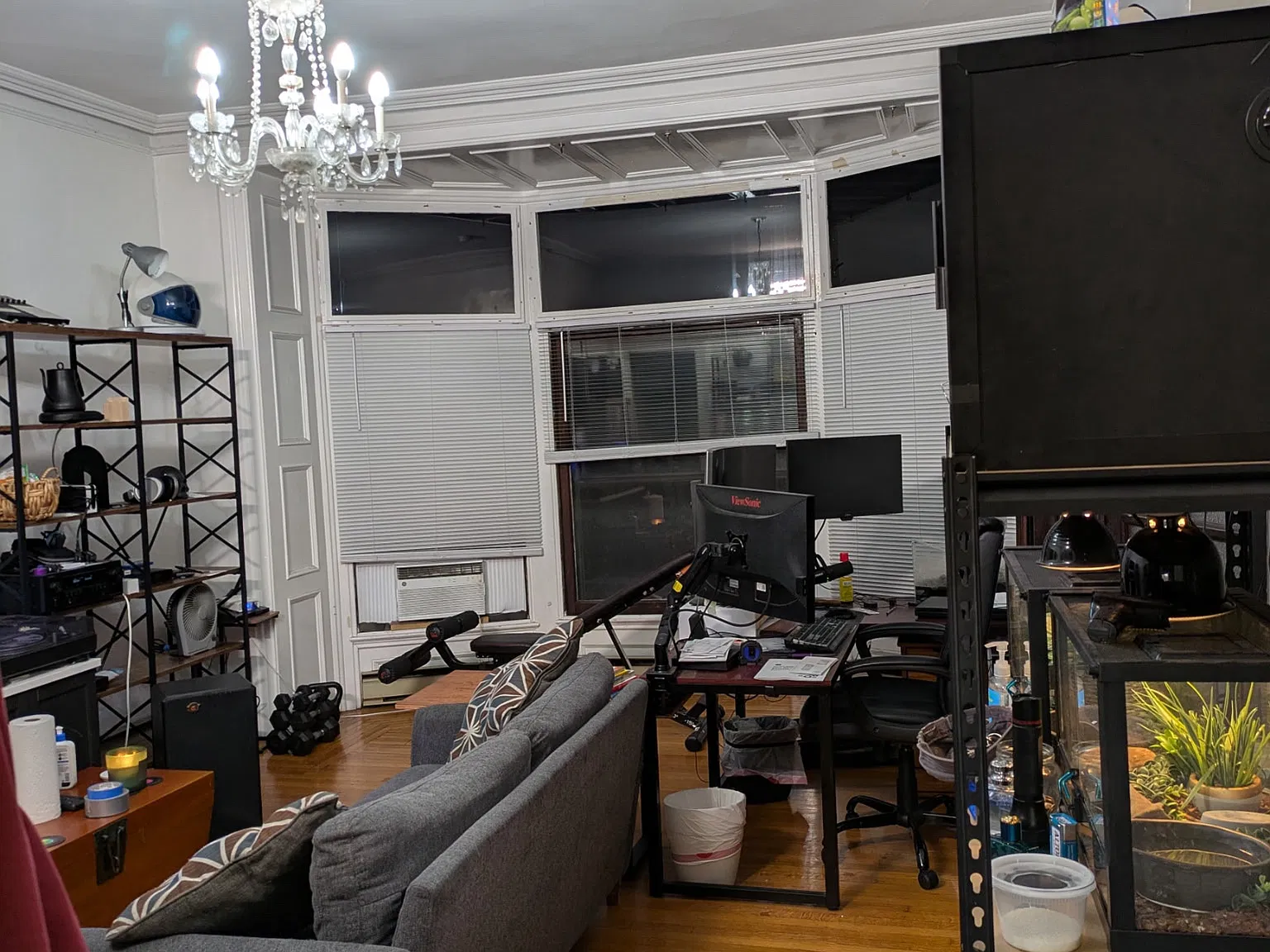 1 bed, $1,095 — Photo 3