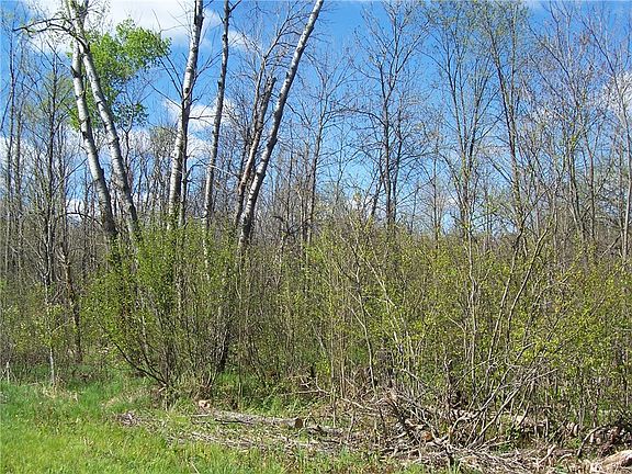 3rd image of 0 Hwy M & Airport Road