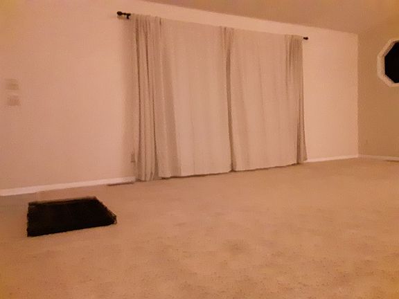 Living room windows
