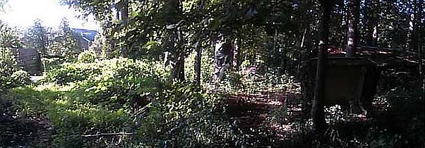2nd image of 1147 Old Conley Rd