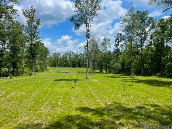 785 Hornsby Rd, Pine Grove, LA 70453