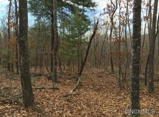 Brevard Rd, Arden, NC 28704