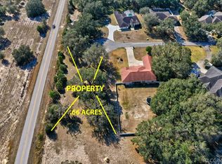 9893 E Tryon Ct, Inverness, FL 34450