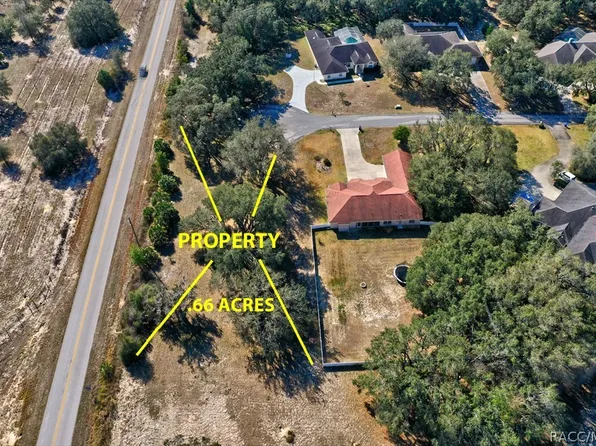 9893 E Tryon Ct, Inverness, FL 34450