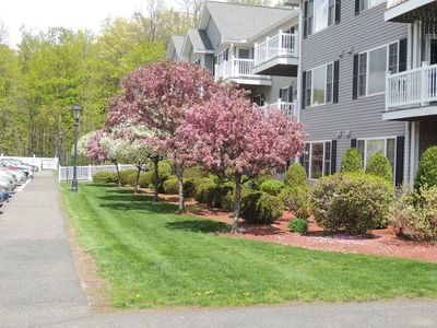 24 Green Leaves Dr Unit 418, Amherst, MA, 01002