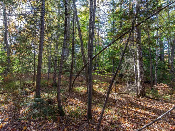 Map 401 Lot 3 Chocorua Mountain Highway, Tamworth, NH 03875