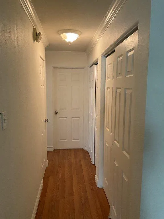 1 bed, 600 sqft, $1,310 — Photo 3