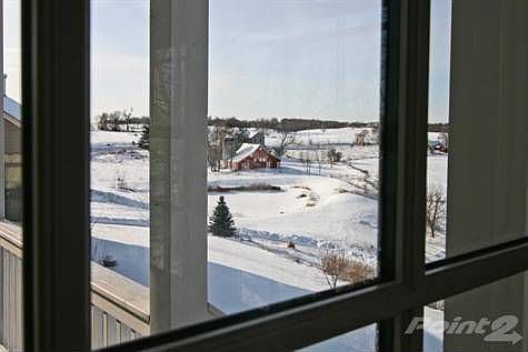 View from Informal Dining Room