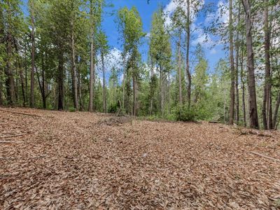 9113 Hiatt Ln, Challenge, CA, 95925