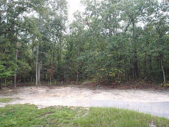 backyard/ parking