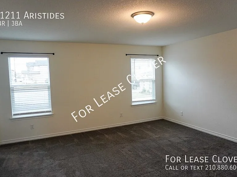11211 Aristides — Photo 15
