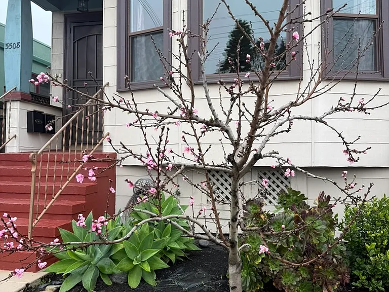 Front entry of unit