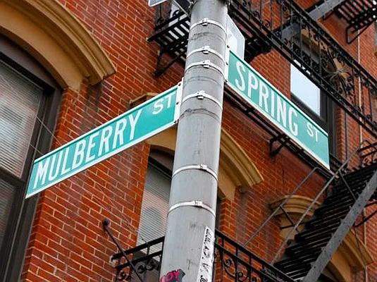 Rented by Citi Habitats | media 13