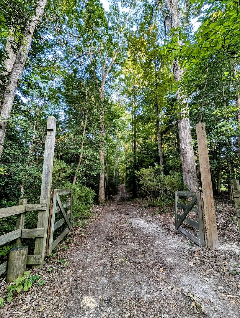10124 Holly Forks Rd, Toano VA 23168 — Photo 2