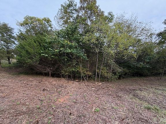 3rd image of LOT 4 Moneta Rd