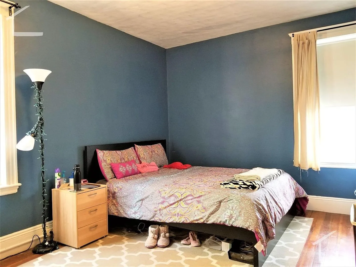 Unique Brookline Apartment. Freshly renovated. For you 9/1/26 — Photo 3