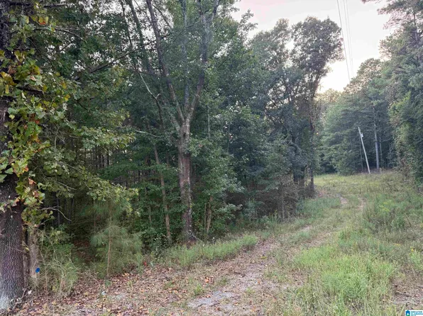 7195 Lou George Loop #0, Bessemer, AL 35022