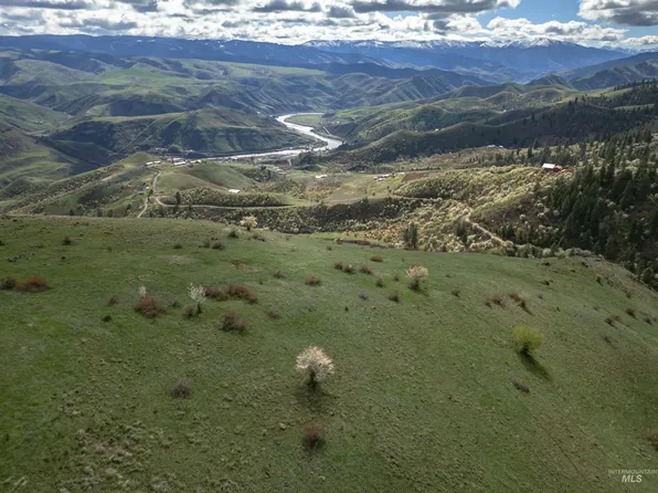 Blue Grouse Rd, White Bird, ID 83554