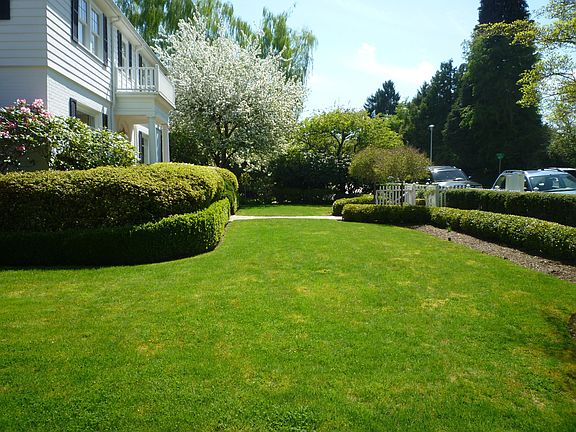 What a yard!  Almost a double lot with practically no neighbors!