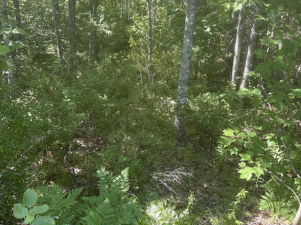 1st image of Lot 2 W Side Unionville Road