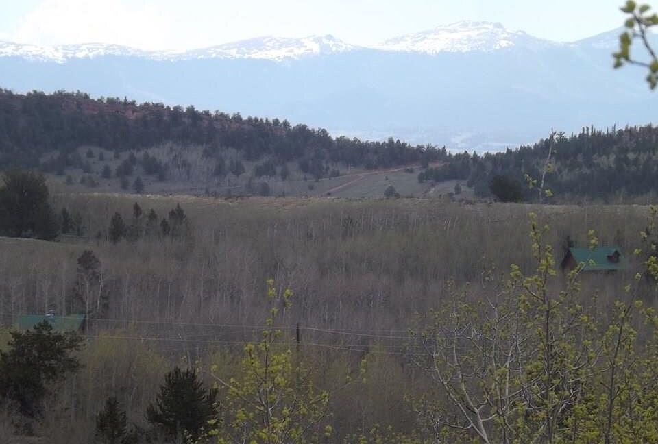 1st image of 824 Palmer Peak Dr