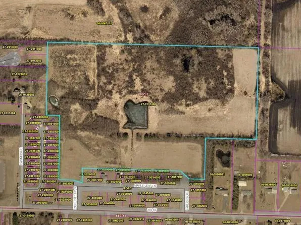 260th St, Litchfield, MN 55355