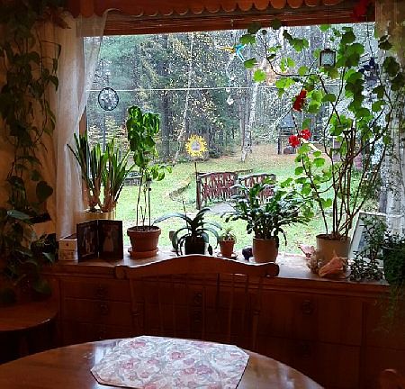 Dining Room & B. yard