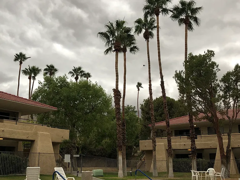 2821 N Los Felices Cir W #K102 — Photo 13