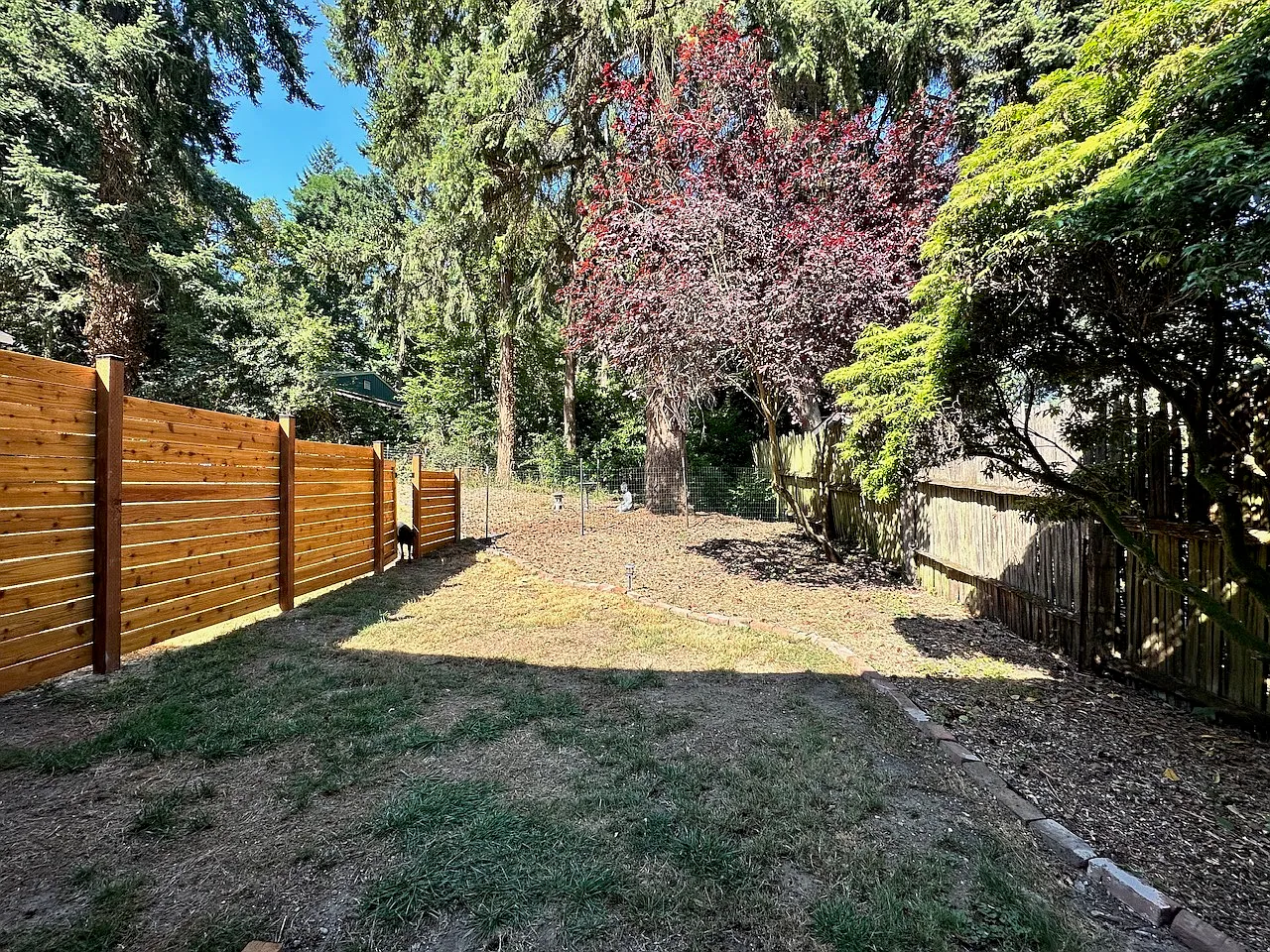 1 bed, 500 sqft, $1,600 — Photo 3