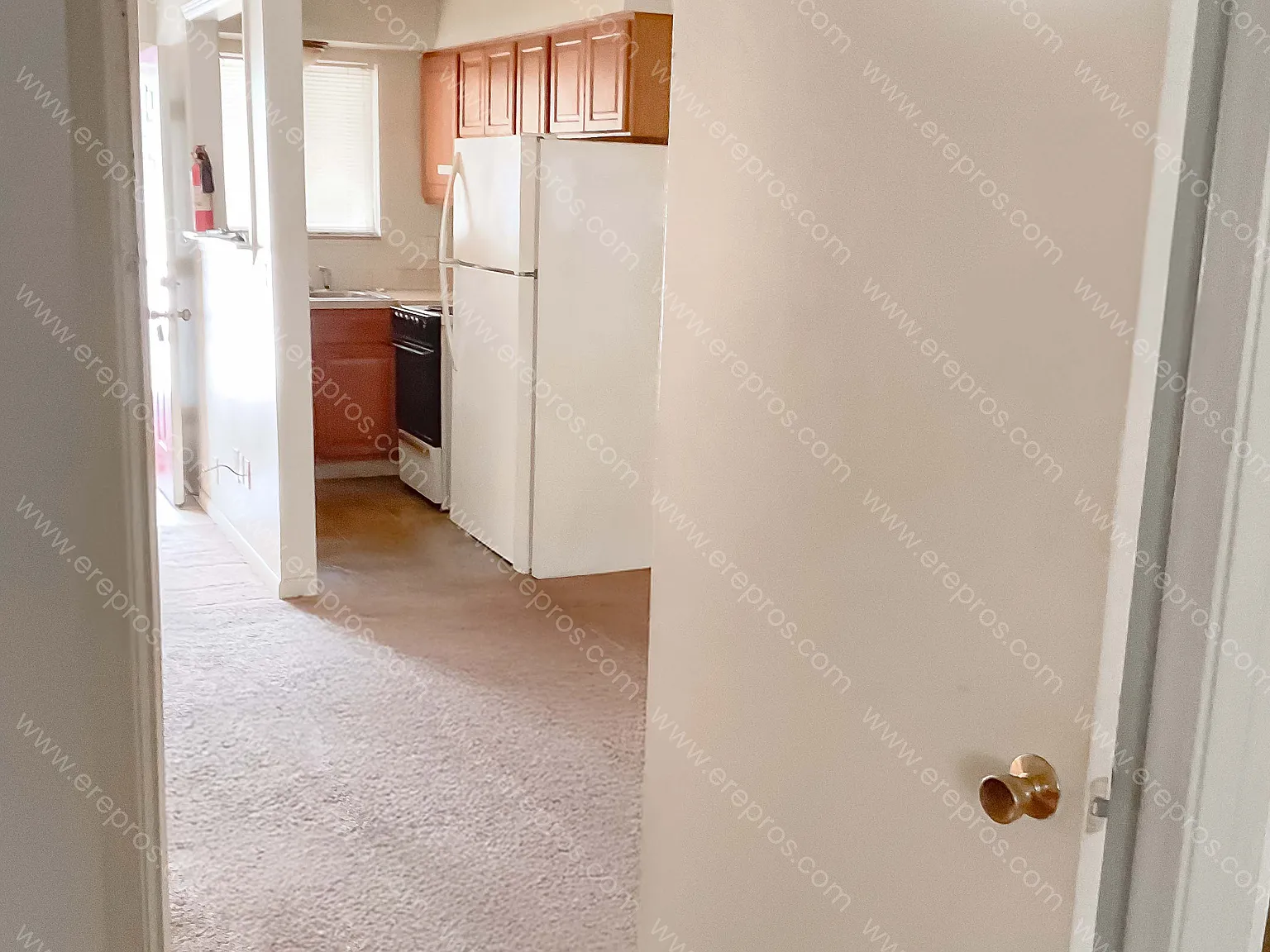 1 bed, 650 sqft, $650 — Photo 3