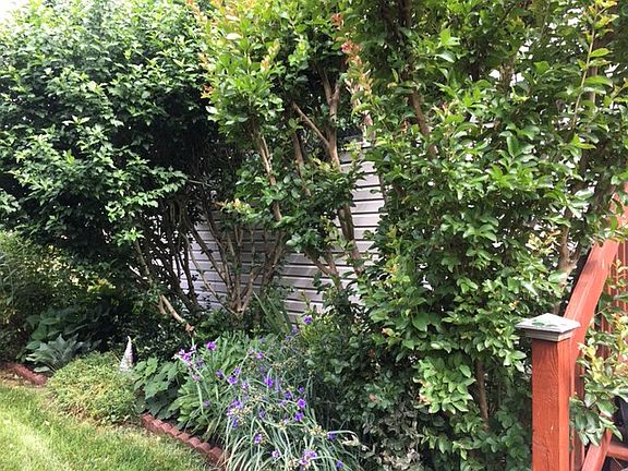 4th image of 11 Vinca Dr