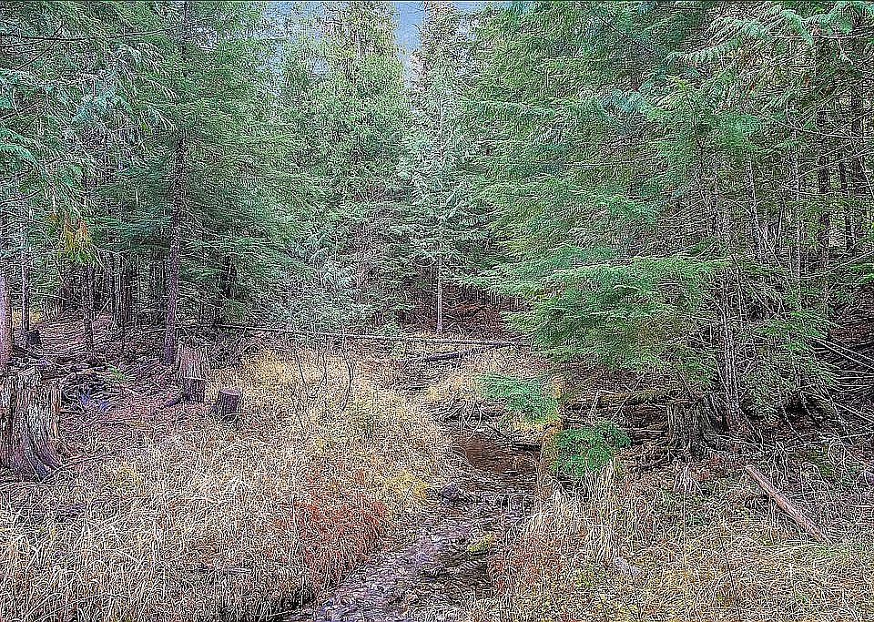 2nd image of 2423 Flume Creek Rd