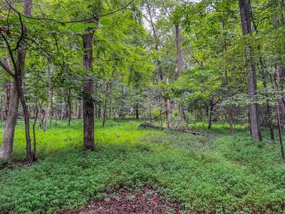 205 E Amber Rd #E, Timberlake, NC, 27583