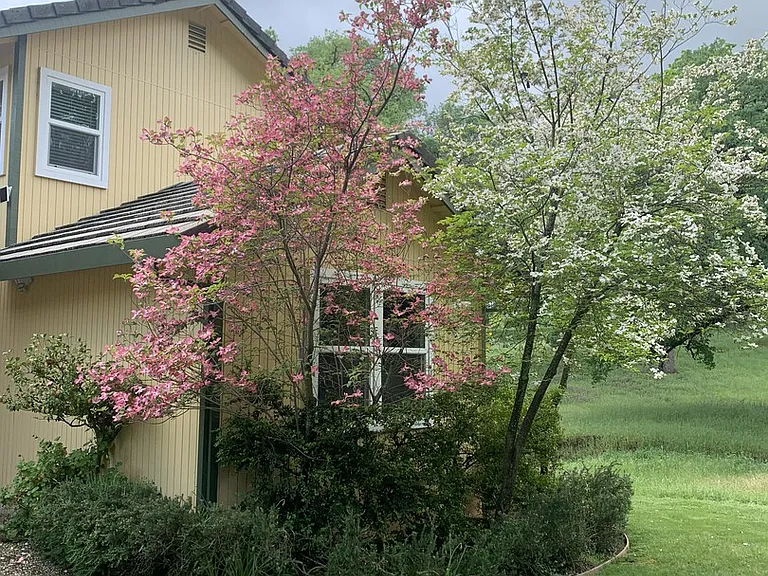 Strolling Hills Rd — Photo 23
