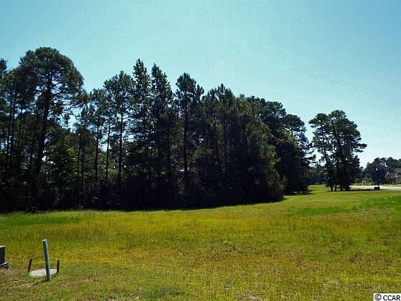 2nd image of 419 Maccoa Dr. Lot 419 Wild Wing Plantation