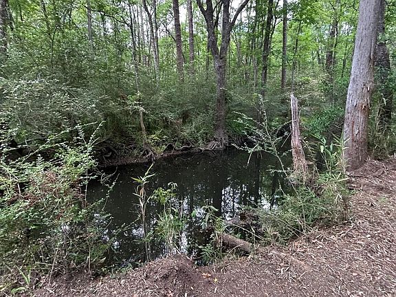 4th image of 23587 Cowling Rd